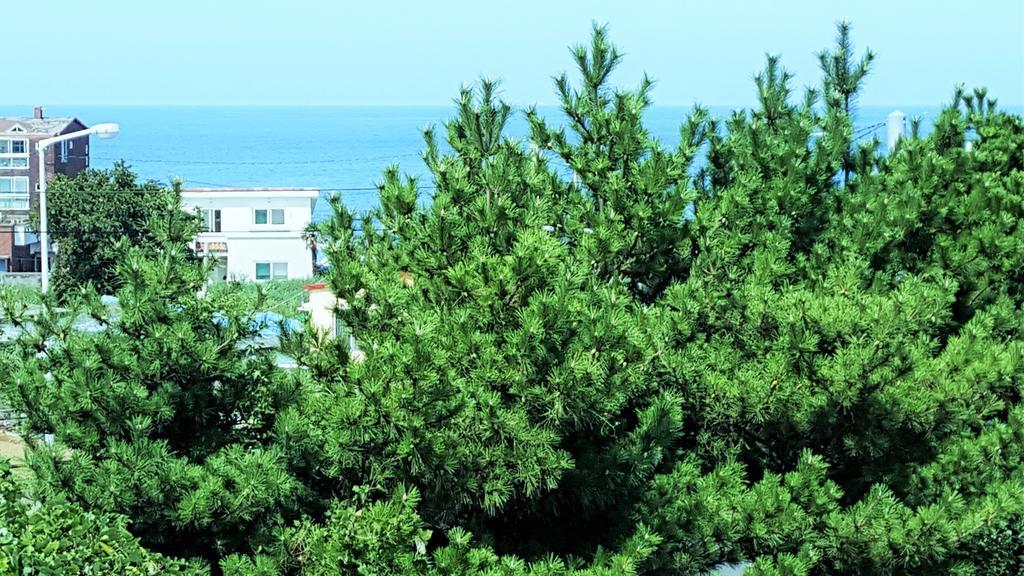 Cardinal House Villa Csedzsu Kültér fotó